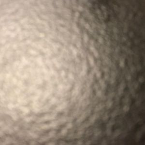 Meet your Posher, Stanley